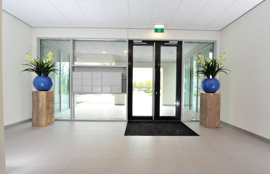 blauwe casacara met yucca bloem  2 (1 van 1)